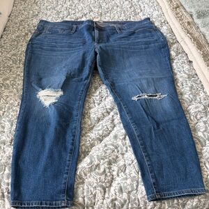 Madewell Distressed 9” High-Rise Skinny Crop Jeans 34P